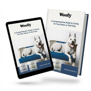<strong>FREE</strong> E-Book