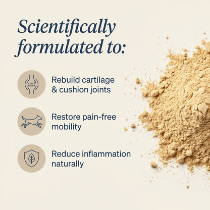 Joint Power+ for Dogs