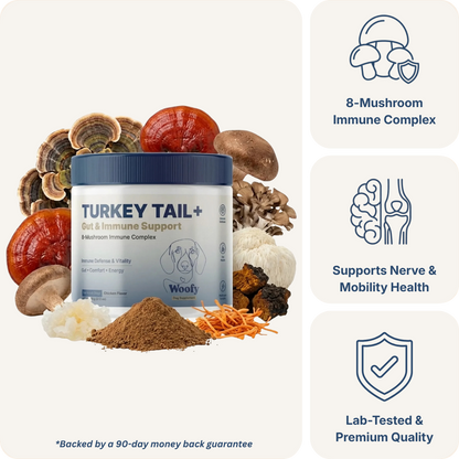Turkey Tail+ for Dogs