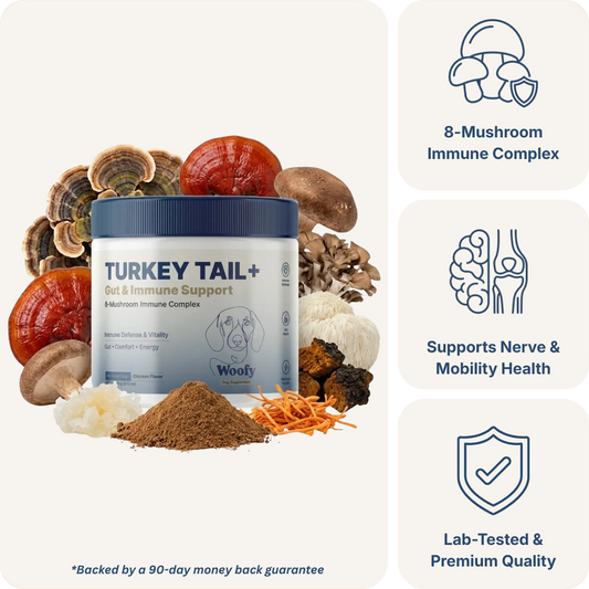 Turkey Tail+ for Dogs