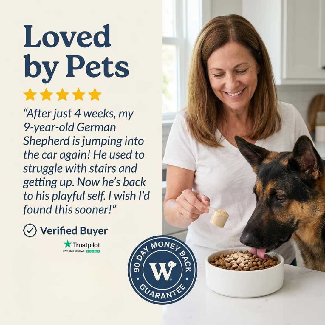 Joint Power+ for Dogs