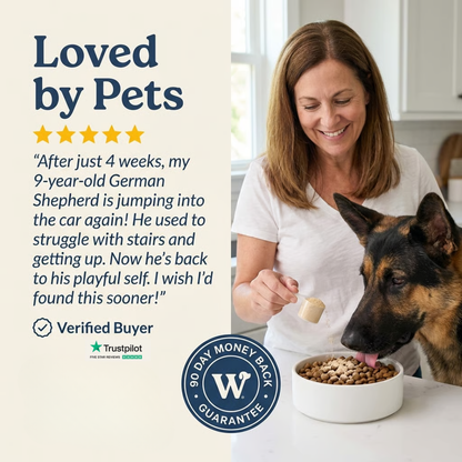 Joint Power+ for Dogs