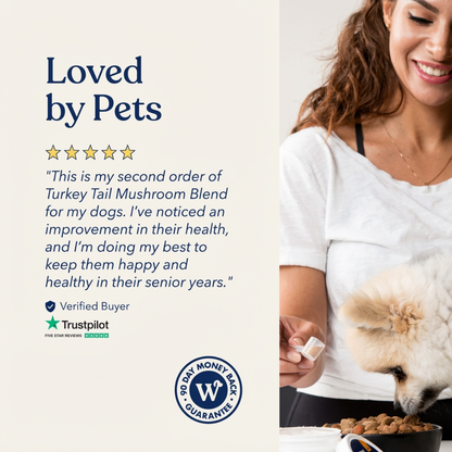 Turkey Tail+ for Dogs