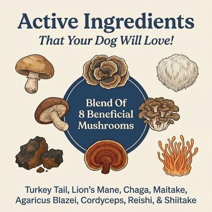 Turkey Tail+ for Dogs