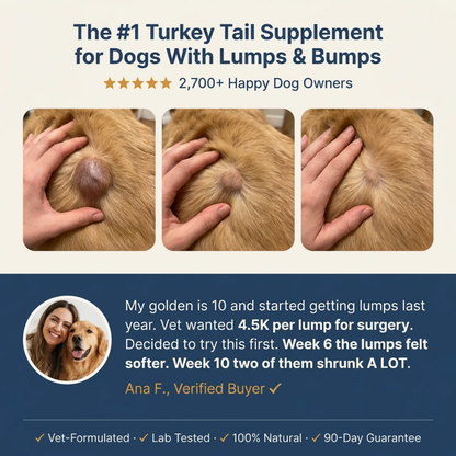 Turkey Tail+ for Dogs