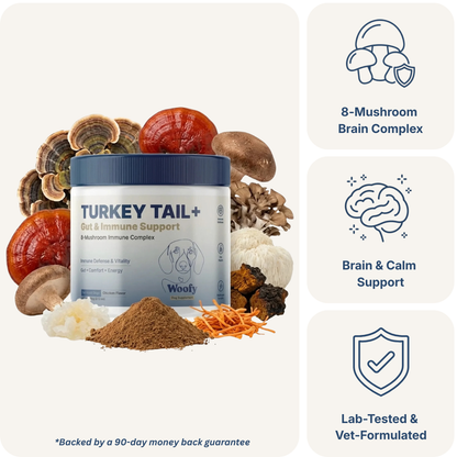 Turkey Tail+ for Dogs