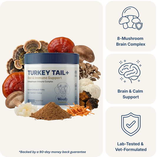 Turkey Tail+ for Dogs