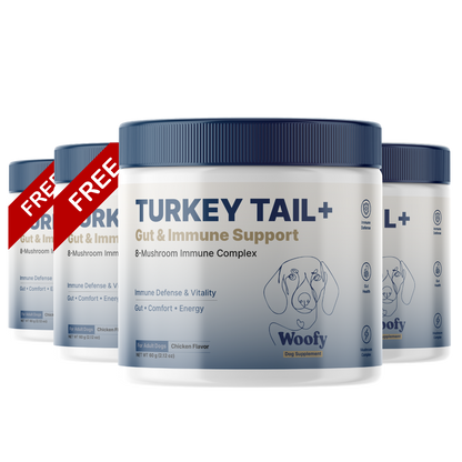 Turkey Tail+ for Dogs