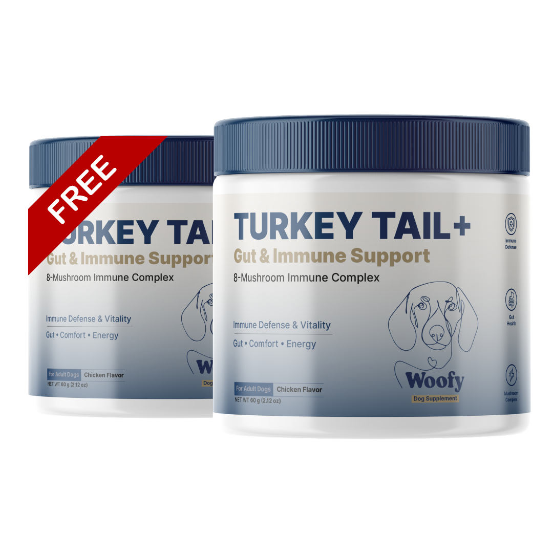 Turkey Tail+ for Dogs
