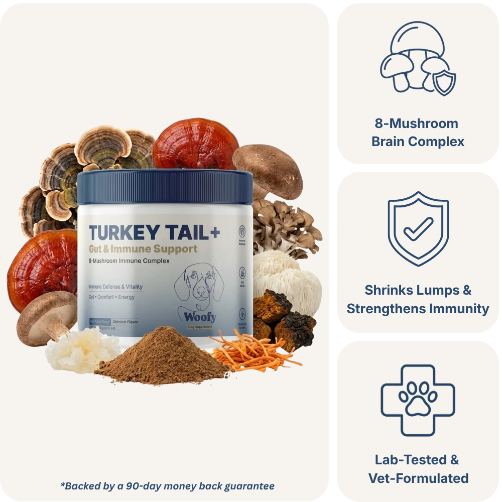 Turkey Tail+ for Dogs