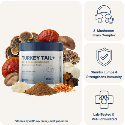 Turkey Tail+ for Dogs