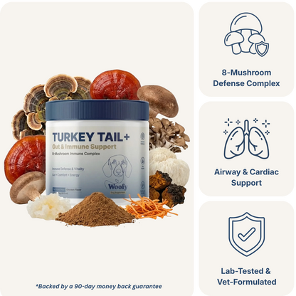 Turkey Tail+ for Dogs