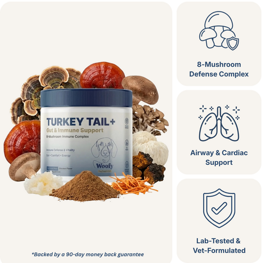 Turkey Tail+ for Dogs