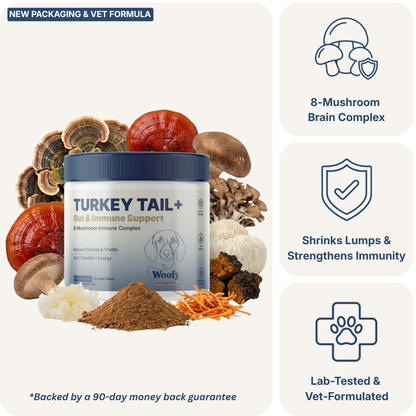 Turkey Tail+ for Dogs