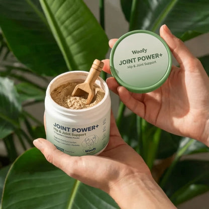 Joint Power+ for Dogs