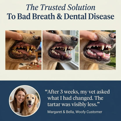 Dental Fresh+ for Dogs