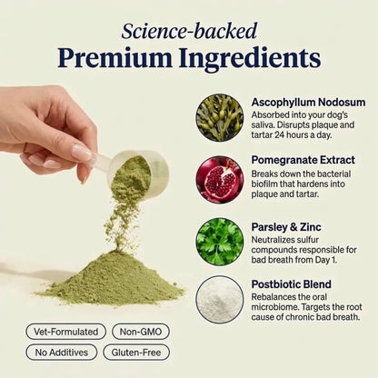 Dental Fresh+ for Dogs