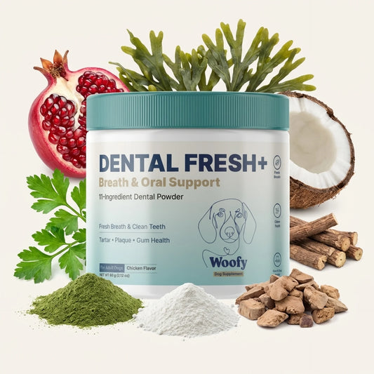 Dental Fresh+ for Dogs