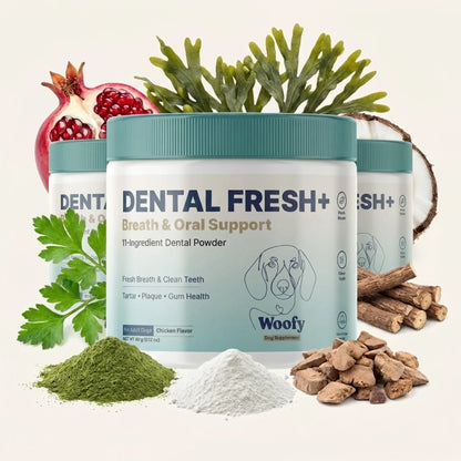 Dental Fresh+ | Special Pack 3 Units